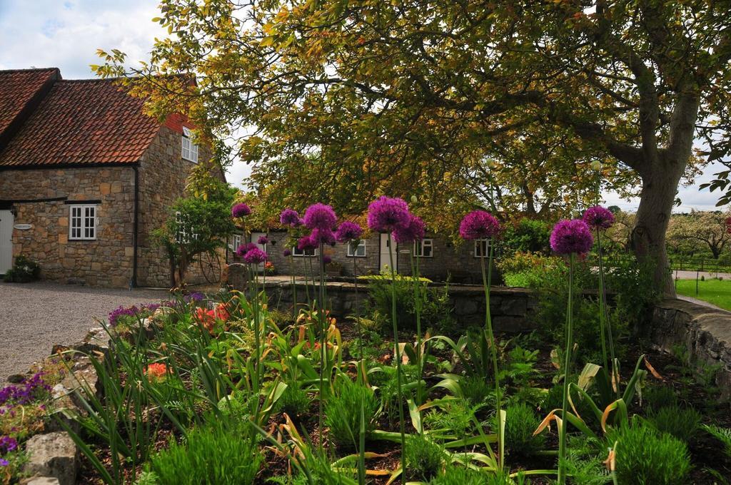 Middlewick Holiday Cottages Glastonbury Exterior photo